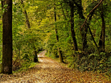 Sentiero-dei-frati-bianchi-cupramontana